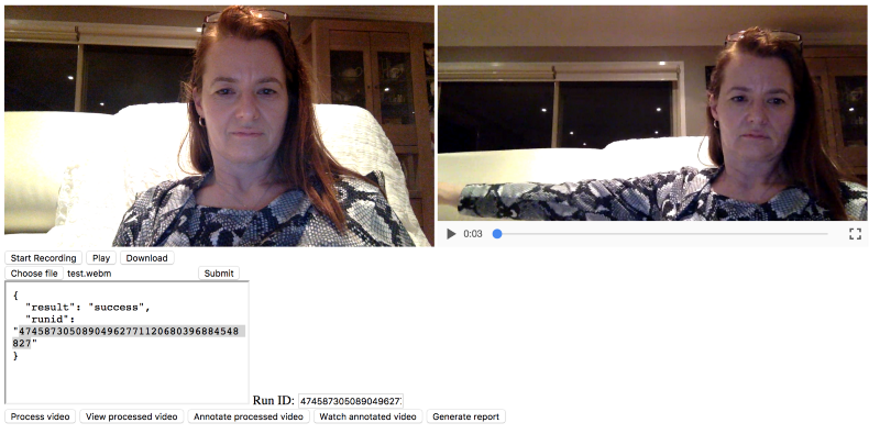 Web page that records video and sends for analysis